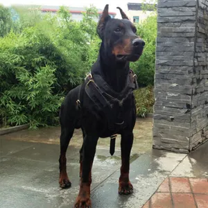 Real Leather Large Dog Harness Vest Walking Training Big Dog Harnesses Adjustable Strap For German Shepherd Labrador Husky Dogs