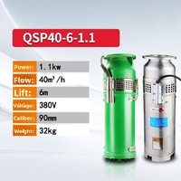 Pompe à eau submersible haute pression QS/QSP en acier inoxydable 3 HP, remplie d'eau, pour fontaine QS65-10-3, grand débit, pour aménagement paysager