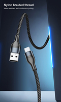Câble de date tresse Premium 1m Charge rapide Micro USB TYPE C USB C-USB C Câble PD