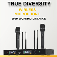 Microphone sans fil professionnel UHF double canal à véritable diversité, rechargeable, pour extérieur, portée 200 mètres, avec suppression du bruit