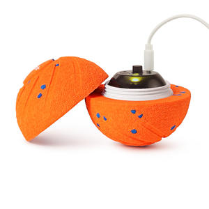 Modern gerçekçi Mini sihirli titreşimli Pet oyuncaklar PC malzeme ile büyük hareket etkinleştirmek için çiğneme yavru ve kediler için - Product Image 2