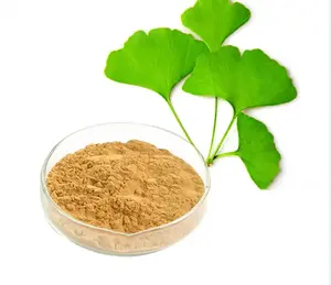 Chất lượng cao Ginkgo lá chiết xuất bột Ginkgo Biloba chiết xuất 24% flavones 6% lactones