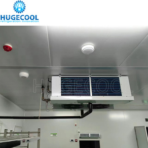 Rau Sản xuất nhà máy coldroom Blast Tủ đông phòng lưu trữ - Product Image 3