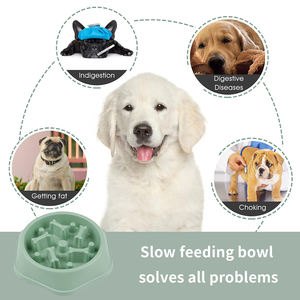 Vente en gros de bols anti-étouffement pour chiens, en plastique, antidérapants, adaptés aux voyages, pour chiens et mangeurs lents - Product Image 3