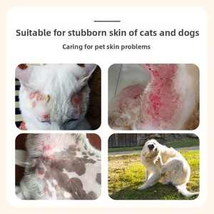 Spray cutané à formule végétale pour chats et chiens - <span class=keywords><strong>Répulsif</strong></span> topique contre les insectes, protège contre les <span class=keywords><strong>poux</strong></span> et les puces, durée de conservation de 6 mois, livraison directe - Product Image 3