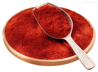 Poudre de piment de marque Xinglong, 20 kg/sac, origine Henan, Chine, durée de conservation de 2 ans