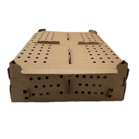 Boîtes en Carton pour le Transport de Poussins et de Volailles