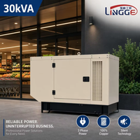 Générateur diesel silencieux de 30 kVA avec moteur Ricardo, alimentation triphasée pour atelier