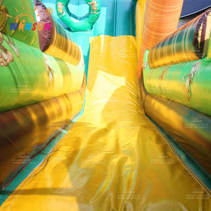 WINSUN Toboggan Gonflable Singe à Grande Bouche Personnalisé – Toboggan Gonflable Sec - Product Image 6