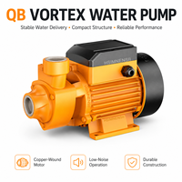 Pompe à eau auto-amorçante à vortex haute pression pour l'irrigation agricole et le surpressionnement de l'eau du robinet domestique pour eau propre et chaude