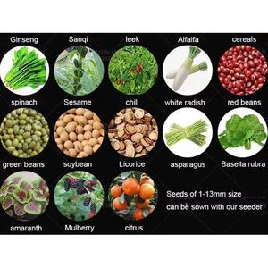 Semi-automatic Gasoline Engine Self-propelled Multi <b>Row</b> Vegetable Planter Seeder <b>Machine</b> Onion Tomatoes Seeding Sowing <b>Machine</b> - Product Image 5
