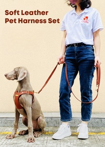 OEM özel toptan köpek koşum üreticileri ağır lüks tasarımcı PU deri köpek koşum ve tasma ve yaka seti - Product Image 5