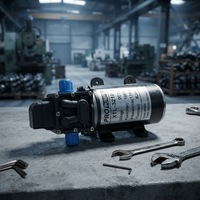 Pompa Diafragma Tekanan Tinggi Listrik Kecil DC12V 24V 100w 8LPM