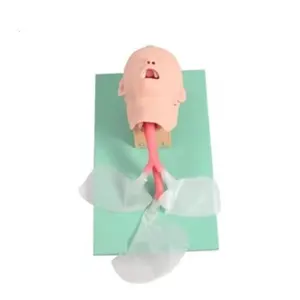 DARHMMY Medical Science Teaching Oral and Nasal Intubation Advanced Child Trachea Intubation Model