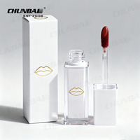 Tubes de brillant à lèvres carrés de 4ml vides personnalisés de luxe personnalisé emballage de grande baguette contenant de rouge à lèvres en argent