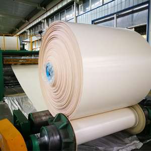 Sabuk konveyor PVC <span class=keywords><strong>2ply</strong></span> berlian putih kualitas tinggi pabrikan - Product Image 6