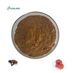 פטריות רישי אורגני טבעי lingzhi ganoderma Lucidum תמצית אבקת - Product Image 2