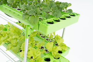 Invernadero agrícola grande de varios espacios ABS/aleación de aluminio para uso doméstico sistema de cultivo de verduras de peces acuapónicos verde sostenible - Product Image 6