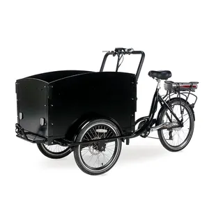 high quality wholesale price cargo bike family e bicycle 20 inch fat tire three wheel cargo electric bike