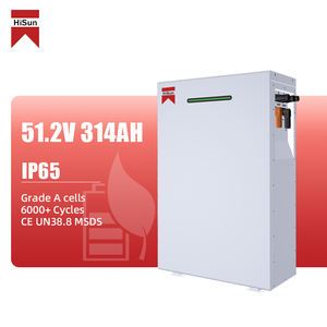 Zonnebatterij 16kWh LiFePO4 Huishoudelijke Energieopslag Lithium Batterij 51.2V 314AH Wandmontage Batterij - Product Image 1