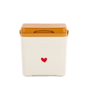 IceMaster Day + 7L Nuevo producto Calentador moderno PE Exterior con mango mini Beige 7L Carry Food Cooler Box para acampar al aire libre - Product Image 2