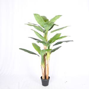 Faux bonsaï 150cm-300cm plante artificielle arbre véritable bois <span class=keywords><strong>bananier</strong></span> intérieur décor à la maison ornement <span class=keywords><strong>Musa</strong></span> Basjoo arbres décor à la maison plante - Product Image 2