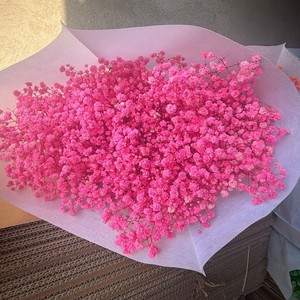 <span class=keywords><strong>Flores</strong></span> de Gypsophila <span class=keywords><strong>Preservadas</strong></span> <span class=keywords><strong>al</strong></span> <span class=keywords><strong>por</strong></span> <span class=keywords><strong>Mayor</strong></span>, Secas, Colores Personalizados, para Graduación, Bodas, San Valentín, Navidad - Product Image 5