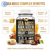 Gummies OEM de baies d'églantier et de mousse de mer, supplément à base de plantes, marque privée, gummies de mousse de mer séchée pour un ventre plat