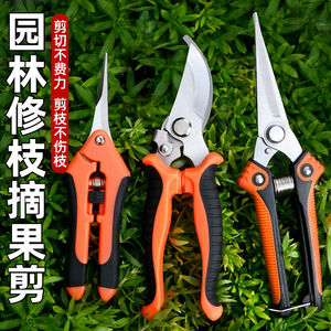Garden Pruning Shears Stainless Steel Bypass <b>Pruner</b> 10-20 Mm Orange Handle For Fruit Tree Flower Trimming - Product Image 1