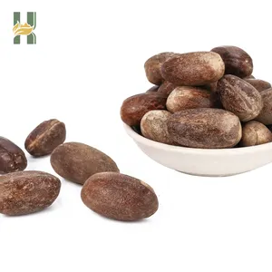 SFG Supplier Long Term Wholesale Spice Price Long Spice Fruit Bulk Dried Nutmeg Whole Round Nutmeg With Shell