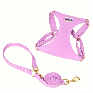 Custom Logo Designer Dog Harness and Leash Set, Adjustable Heavy Duty Pet Harness with Metal Buckles <b>for</b> <b>Walking</b> Training - Product Image 6