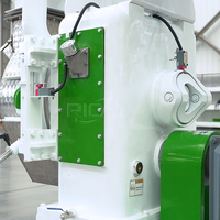 Machine à granulés de paille de pin RICHI - Granulateur à matrice annulaire personnalisé pour la fabrication de granulés de bois
