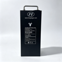 Batería de Litio HAOYANG 60V 20Ah con BMS Inteligente para Citycoco, 1000 Ciclos, OEM para Scooter Eléctrico, Ciclomotor, Bicicleta Eléctrica, Impermeable