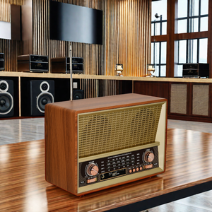 Radio Estéreo de Madera con Función USB y TF, 4 Bandas, Marca Vin Ta, Alta Calidad de Sonido, Bandas FM AM SW, Gran Venta en Amazon - Product Image 5