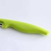 Plastic multifunctionele groente- en fruit- en aardappel-schiller/snijder van roestvrij staal