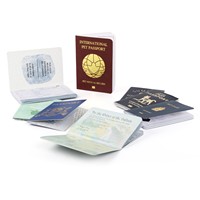 Impression de livrets de passeport personnalisés de haute qualité en gros, format passeport