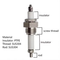 Capteur de niveau d'eau G1/2 à double électrode en acier inoxydable 304 316 Sonde de niveau de liquide pour chaudières et générateurs de vapeur