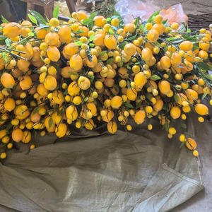 LUYI Wholesale Competitive Price Good Quality 8-head Lemon <b>Tree</b> Wholesale <b>Artificial</b> Fruit for Decoration - Product Image 5