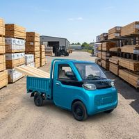 Camioneta Eléctrica Mini Volquete con Plataforma Plana, Camión de Carga Eléctrico de Cuatro Ruedas, Camioneta Eléctrica Agrícola con Caja, Precio de Fábrica