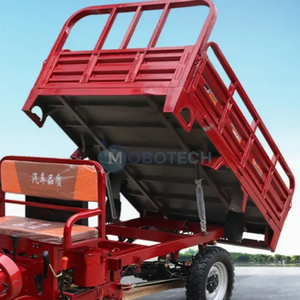 Motocicleta de tres ruedas, volcado de combustible de gasolina, carga refrigerada por agua, se puede registrar, tipo placa, triciclo asistido - Product Image 3