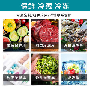 Chambre froide pour glaçons, de -30 à 25 degrés Celsius, sur mesure pour la congélation et la conservation des fruits, des fruits de mer et de la viande - Product Image 4