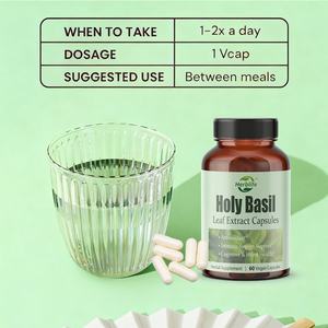 Capsules de basilic sacré Tulsi OEM ODM - Extrait de feuilles de basilic sacré, antioxydant, complément alimentaire à base de plantes, soutien à l'immunité et à la relaxation, végétalien - Product Image 4