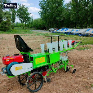 Transplanteuse autoportée à 2 rangs avec moteur <span class=keywords><strong>diesel</strong></span> 6 CV, machine de plantation de légumes haute efficacité pour l'agriculture - Product Image 4
