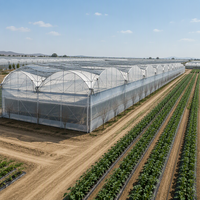 Grand système hydroponique commercial, serre en film plastique, projet personnalisé d'usine, serre en acier galvanisé pour ferme