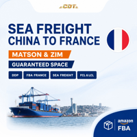 Transitaire aérien Chine vers États-Unis, Canada, Royaume-Uni, Australie, DDP porte-à-porte, service logistique FBA Amazon, logistique économique vers la France