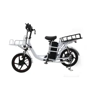 ebike用于交付电动自行车货物e自行车，带可拆卸锂电池