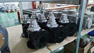 Compressori d'aria a gasolio da 2,2 kW personalizzati, tipo a vite efficiente, pressione 10 bar, 11 kW/45 kW - Sconti - Product Image 5