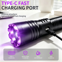 Lampe torche UV professionnelle 365 nm avec filtre noir, en aluminium, pour l'évaluation de bijoux, la détection de fuites d'huile et le test d'agents fluorescents