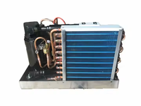Mini-refroidisseur AC, unité de condensation à tube de cuivre pour réfrigération, refroidisseur de gaz, compresseur, armoires solaires pour crème glacée
