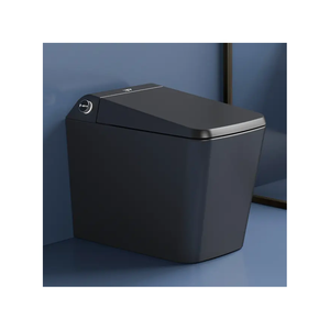 Полностью автоматический электрический биде Siphonic Flush, черный умный туалет - Product Image 1